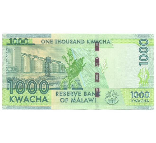 Банкнота 1000 квача 2016 года Малави (Артикул: B2-5028) — Фото №2