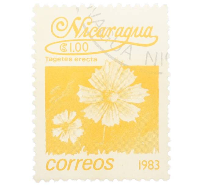 Почтовая марка 1 кордоба 1983 года Никарагуа «Бархатцы прямостоячие» (Артикул: T11-35420) — Фото №1