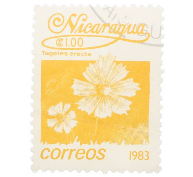 Почтовая марка 1 кордоба 1983 года Никарагуа «Бархатцы прямостоячие» (Артикул: T11-35425) — Фото №1