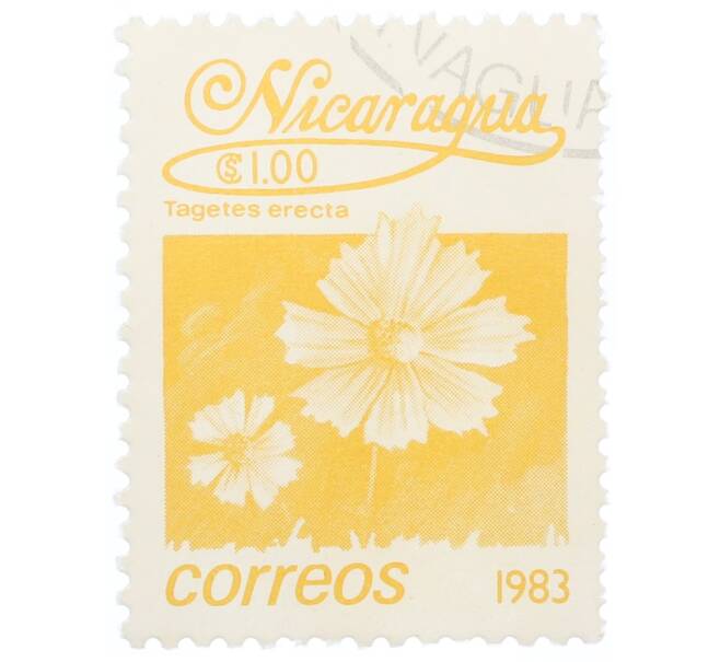 Почтовая марка 1 кордоба 1983 года Никарагуа «Бархатцы прямостоячие» (Артикул: T11-35429) — Фото №1