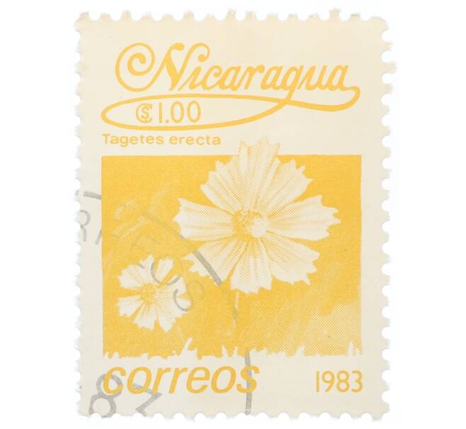 Почтовая марка 1 кордоба 1983 года Никарагуа «Бархатцы прямостоячие» (Артикул: T11-35431) — Фото №1