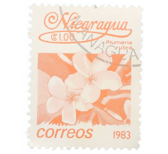 Почтовая марка 1 кордоба 1983 года Никарагуа «Плюмерия красная» (Артикул: T11-35432) — Фото №1