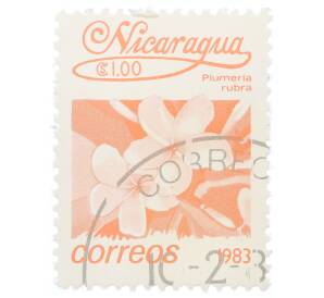Почтовая марка 1 кордоба 1983 года Никарагуа «Плюмерия красная» — Фото №1