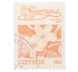 Почтовая марка 1 кордоба 1983 года Никарагуа «Плюмерия красная» — Фото №1