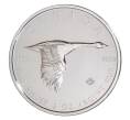 Монета 10 долларов 2020 года Канада — Канадский гусь (Артикул M2-34367)