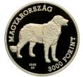 Монета 3000 форинтов 2025 года Венгрия «Венгерская порода собак — Куваш» (Артикул: M2-92025) — Фото №2