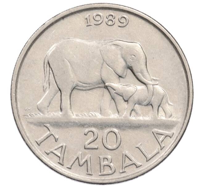 Монета 5 тамбала 1989 года Малави (Артикул: T11-35957) — Фото №1