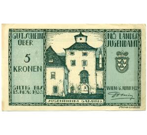 5 крон 1920 года Австрия — Вена (Нотгельд) — Фото №1
