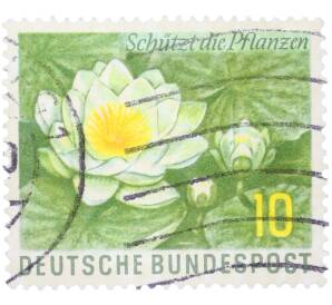 Почтовая марка 10 пфеннигов 1957 года Западная Германия (ФРГ) «День охраны природы» — Фото №1