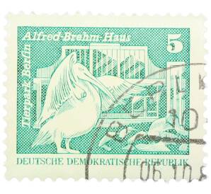 Почтовая марка 5 пфеннигов 1973 года Восточная Германия (ГДР) «Розовый пеликан» — Фото №1