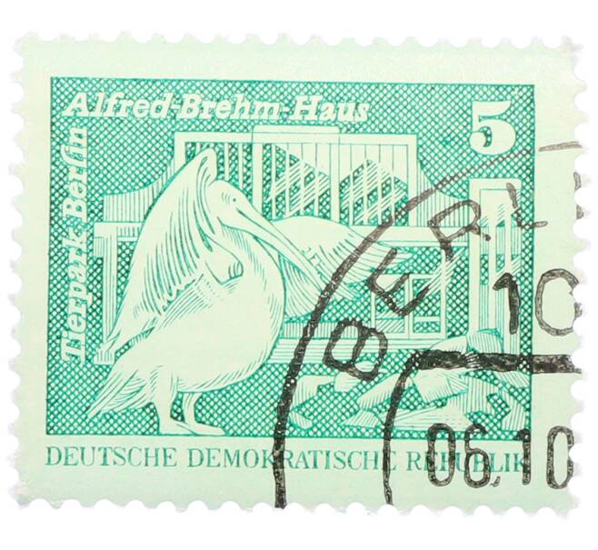 Почтовая марка 5 пфеннигов 1973 года Восточная Германия (ГДР) «Розовый пеликан» (Артикул: T11-36148) — Фото №1