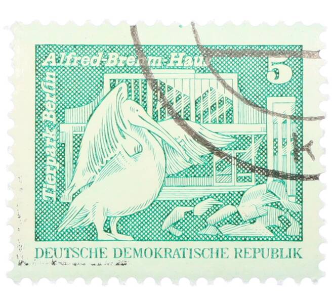 Почтовая марка 5 пфеннигов 1973 года Восточная Германия (ГДР) «Розовый пеликан» (Артикул: T11-36149) — Фото №1