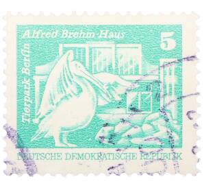 Почтовая марка 5 пфеннигов 1973 года Восточная Германия (ГДР) «Розовый пеликан» — Фото №1