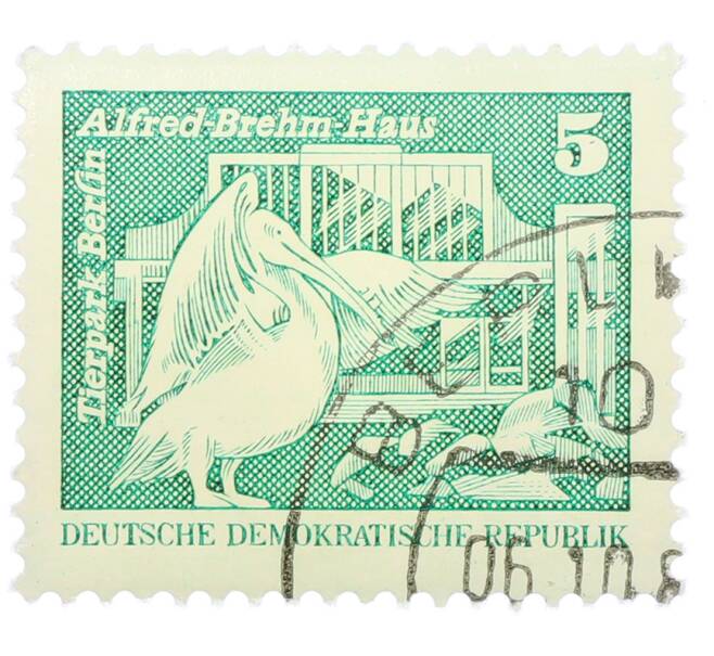 Почтовая марка 5 пфеннигов 1973 года Восточная Германия (ГДР) «Розовый пеликан» (Артикул: T11-36153) — Фото №1