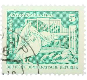 Почтовая марка 5 пфеннигов 1973 года Восточная Германия (ГДР) «Розовый пеликан» — Фото №1