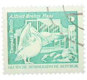 Почтовая марка 5 пфеннигов 1973 года Восточная Германия (ГДР) «Розовый пеликан» — Фото №1