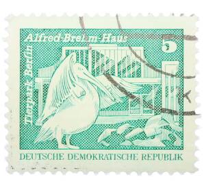 Почтовая марка 5 пфеннигов 1973 года Восточная Германия (ГДР) «Розовый пеликан» — Фото №1