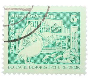 Почтовая марка 5 пфеннигов 1973 года Восточная Германия (ГДР) «Розовый пеликан» — Фото №1