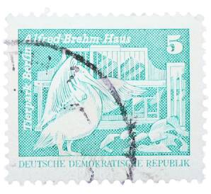 Почтовая марка 5 пфеннигов 1973 года Восточная Германия (ГДР) «Розовый пеликан» — Фото №1