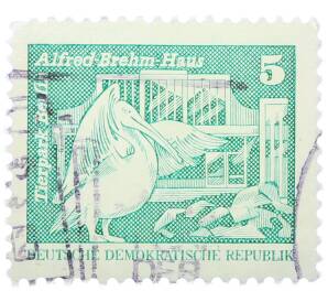 Почтовая марка 5 пфеннигов 1973 года Восточная Германия (ГДР) «Розовый пеликан» — Фото №1