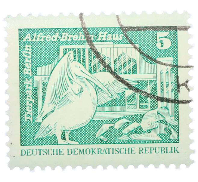 Почтовая марка 5 пфеннигов 1973 года Восточная Германия (ГДР) «Розовый пеликан» (Артикул: T11-36172) — Фото №1