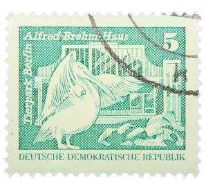 Почтовая марка 5 пфеннигов 1973 года Восточная Германия (ГДР) «Розовый пеликан» — Фото №1