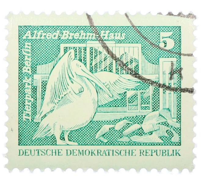 Почтовая марка 5 пфеннигов 1973 года Восточная Германия (ГДР) «Розовый пеликан» (Артикул: T11-36176) — Фото №1