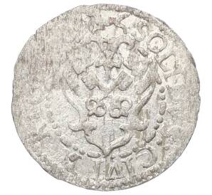 1 солид 1587-1622 года Рига — Сигизмунд III — Фото №1