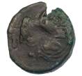 Монета Тетрахалк 275-250 года до н.э. Боспорское царство (Пантикапей) (Артикул: K1-7134) — Фото №1
