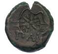 Монета Тетрахалк 275-250 года до н.э. Боспорское царство (Пантикапей) (Артикул: K1-7134) — Фото №2