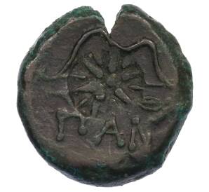 Тетрахалк 275-250 года до н.э. Боспорское царство (Пантикапей) — Фото №2