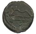 Монета Тетрахалк 275-250 года до н.э. Боспорское царство (Пантикапей) (Артикул: K1-7136) — Фото №2