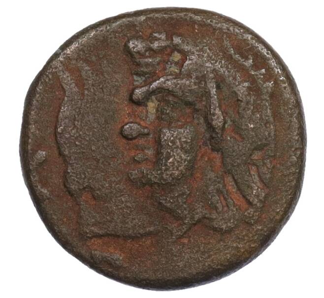 Монета Тетрахалк 275-250 года до н.э. Боспорское царство (Пантикапей) (Артикул: K1-7138) — Фото №1