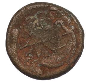 Тетрахалк 275-250 года до н.э. Боспорское царство (Пантикапей) — Фото №2