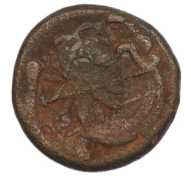 Монета Тетрахалк 275-250 года до н.э. Боспорское царство (Пантикапей) (Артикул: K1-7138) — Фото №2