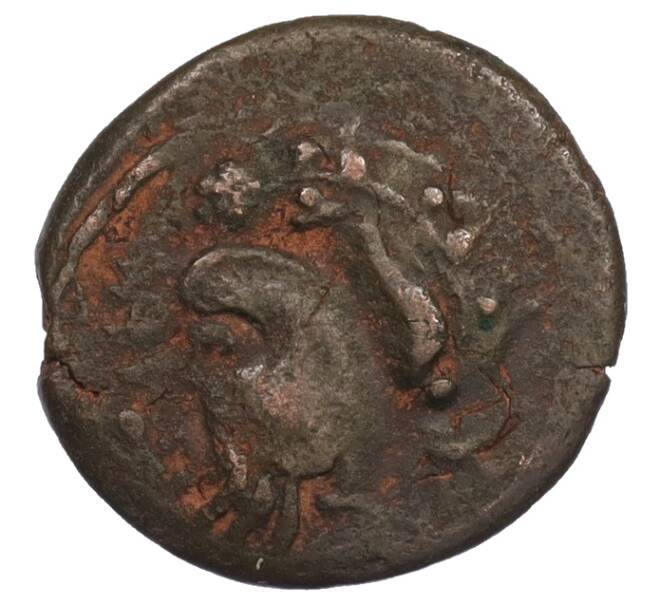 Монета Тетрахалк 275-250 года до н.э. Боспорское царство (Пантикапей) (Артикул: K1-7139) — Фото №1