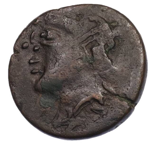 Монета Тетрахалк 275-250 года до н.э. Боспорское царство (Пантикапей) (Артикул: K1-7140) — Фото №1