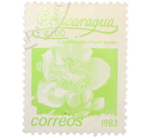 Почтовая марка 1 кордоба 1983 года Никарагуа «Кохлоспермум» — Фото №1