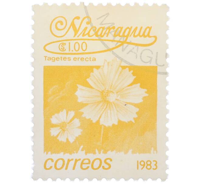 Почтовая марка 1 кордоба 1983 года Никарагуа «Бархатцы прямостоячие» (Артикул: T11-37564) — Фото №1
