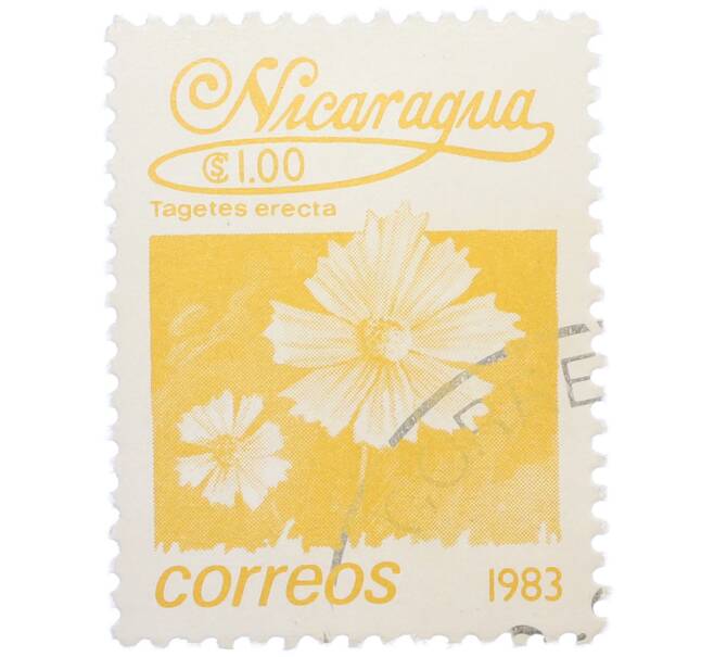 Почтовая марка 1 кордоба 1983 года Никарагуа «Бархатцы прямостоячие» (Артикул: T11-37568) — Фото №1