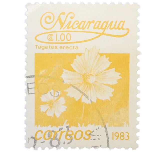 Почтовая марка 1 кордоба 1983 года Никарагуа «Бархатцы прямостоячие» (Артикул: T11-37569) — Фото №1