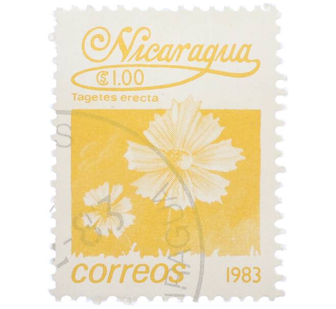 Почтовая марка 1 кордоба 1983 года Никарагуа «Бархатцы прямостоячие» (Артикул: T11-37570) — Фото №1