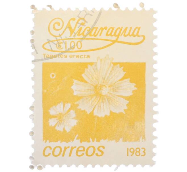 Почтовая марка 1 кордоба 1983 года Никарагуа «Бархатцы прямостоячие» (Артикул: T11-37574) — Фото №1