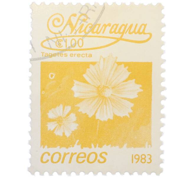 Почтовая марка 1 кордоба 1983 года Никарагуа «Бархатцы прямостоячие» (Артикул: T11-37585) — Фото №1