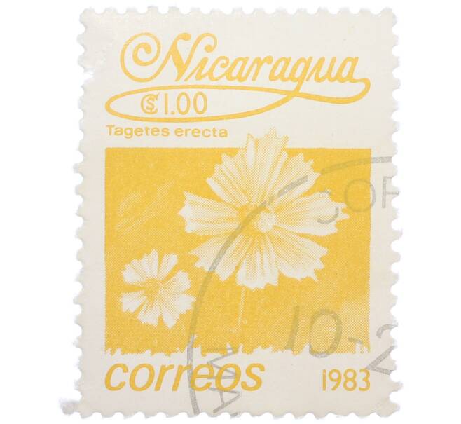 Почтовая марка 1 кордоба 1983 года Никарагуа «Бархатцы прямостоячие» (Артикул: T11-37586) — Фото №1