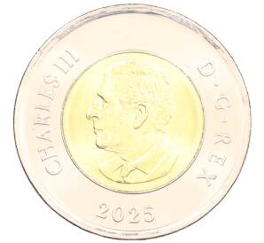 2 доллара 2025 года Канада «Чествование неизвестного солдата Канады» (Цветное покрытие) — Фото №2