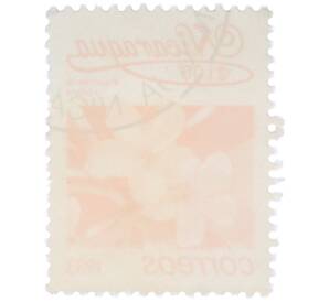 Почтовая марка 1 кордоба 1983 года Никарагуа «Плюмерия красная» — Фото №2