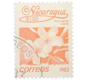 Почтовая марка 1 кордоба 1983 года Никарагуа «Плюмерия красная» — Фото №1