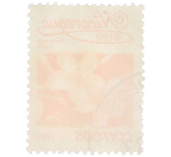 Почтовая марка 1 кордоба 1983 года Никарагуа «Плюмерия красная» (Артикул: T11-37969) — Фото №2