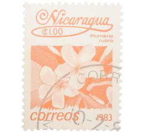 Почтовая марка 1 кордоба 1983 года Никарагуа «Плюмерия красная» — Фото №1